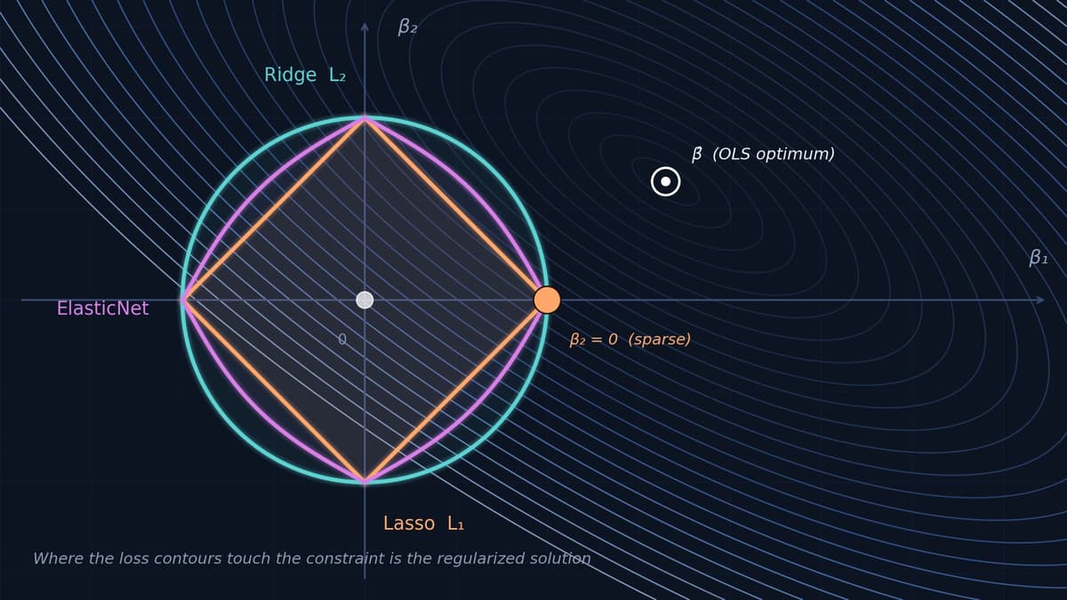 Ridge vs Lasso vs ElasticNet: Which Regularizer to Use?
