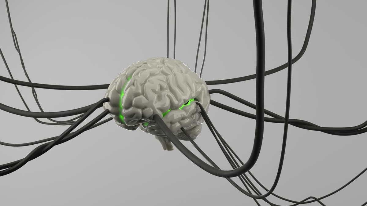 Master Meta-Cognitive Skills for Effective AI Interaction
