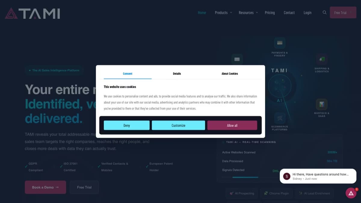 TAMI AI Review: Identify & Verify Your Target Market